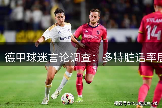 德甲球迷言论调查：多特脏话率居首 帕德博恩最温和